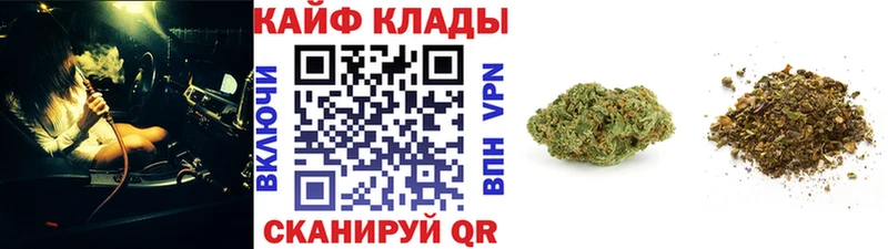 Все наркотики Каргополь hydra как зайти Меф Конопля COCAIN А ПВП