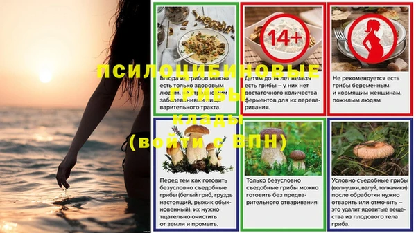 ALPHA-PVP Зеленокумск