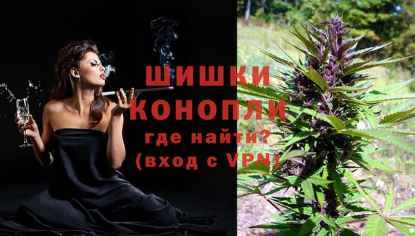 стафф Щигры