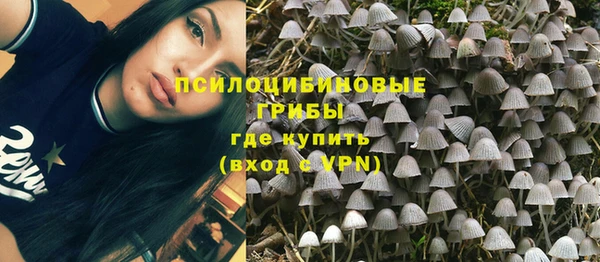 не бодяженный Зеленодольск